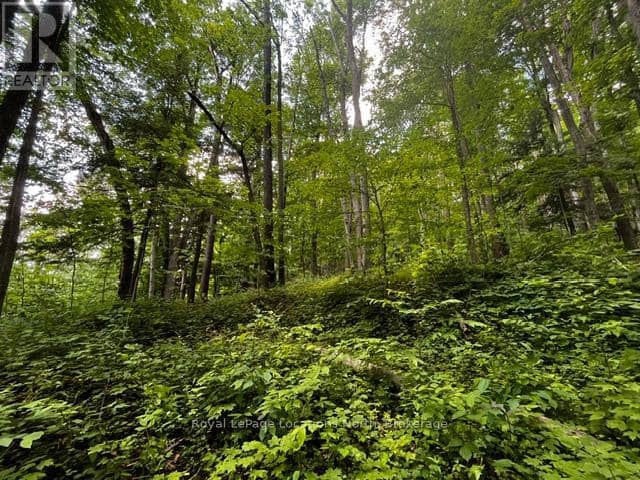 8840 9 County Road — photo 9 of 13