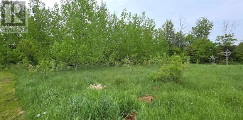 Lot Gaul Road, Montague, photo 2