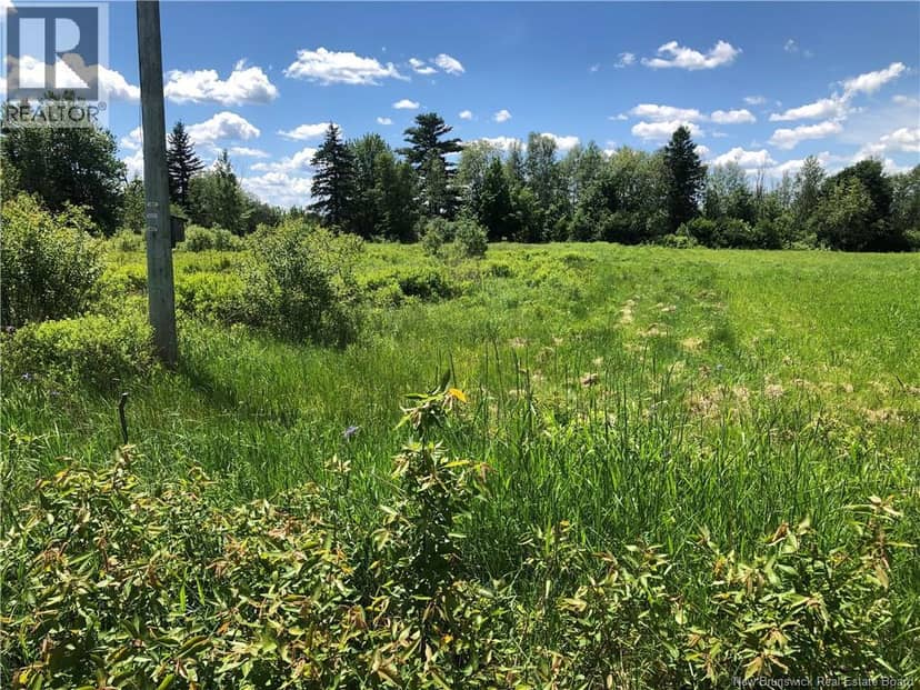 Lot Route 112, Colpitts Settlement, photo 7