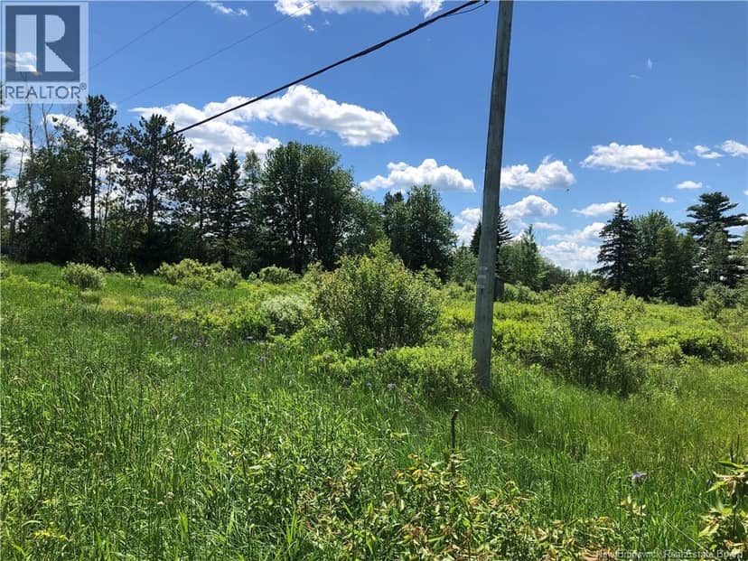 Lot Route 112, Colpitts Settlement, photo 8