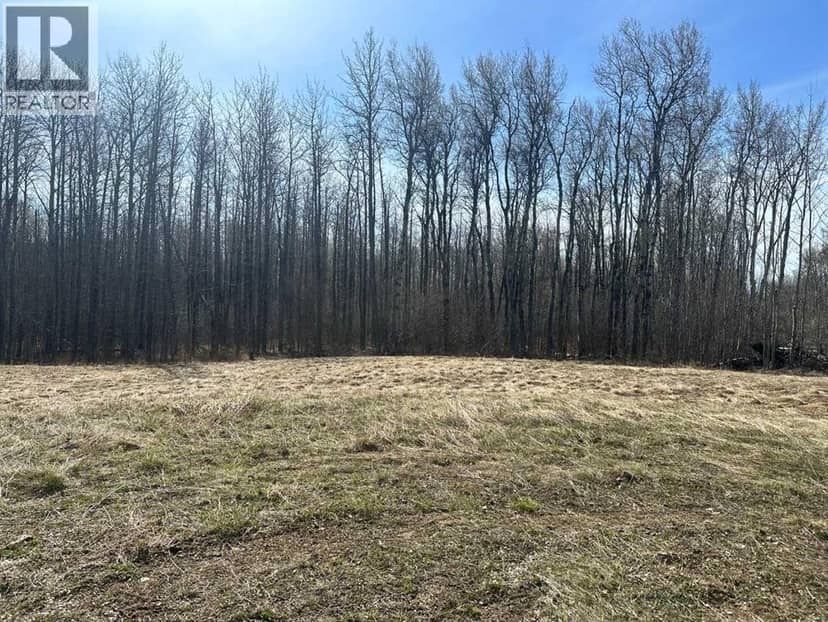 90058b twp 720, Wembley, photo 2