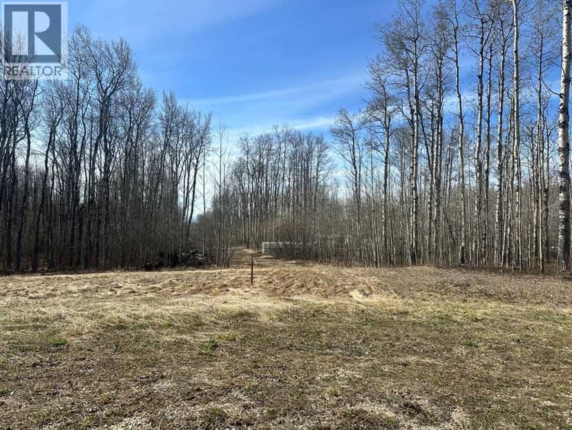 90058b twp 720, Wembley, photo 3