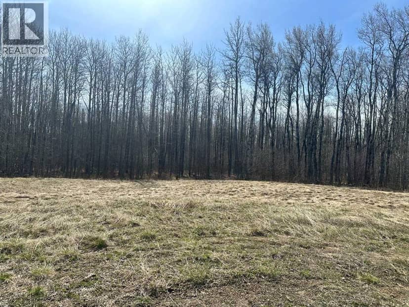90058b twp 720, Wembley, photo 4