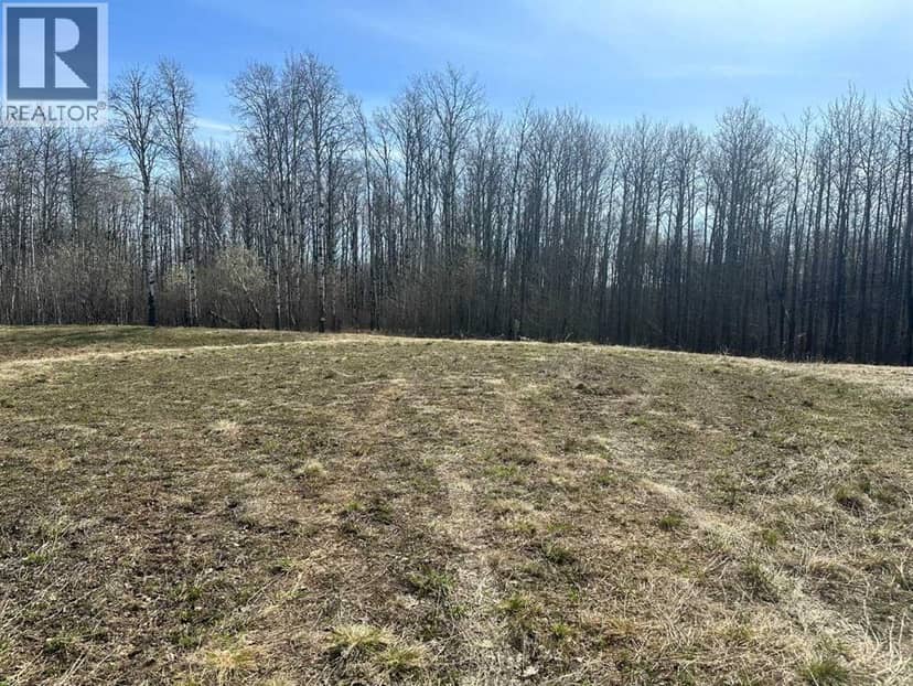 90058b twp 720, Wembley, photo 5
