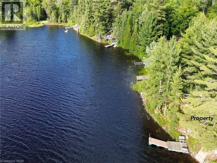 1167 WAGOOSH LAKE Road, Spragge, photo 2