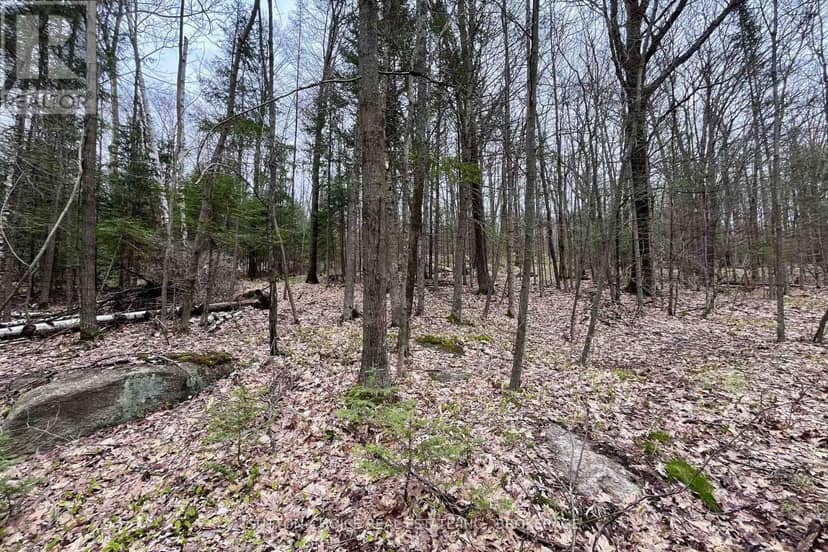1876 Alsace Road — photo 19 of 33