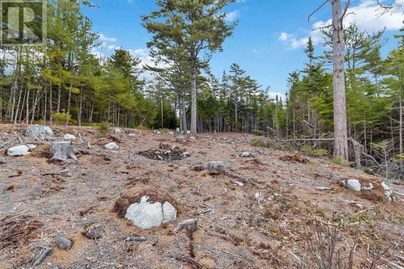 Lot 3-C Swallow Cove Spur — photo 13 of 16