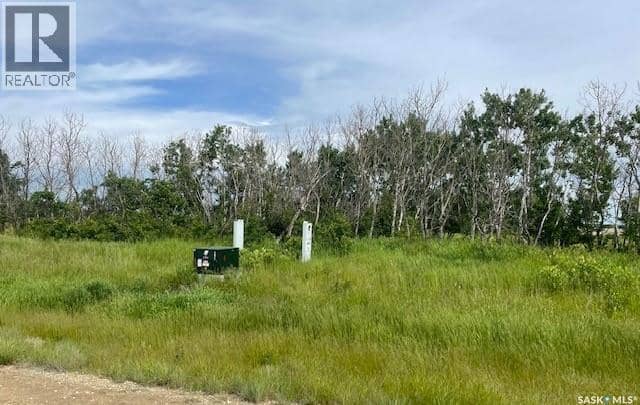 Lot 4 Viceroy ROAD, North Battleford Rm No. 437
