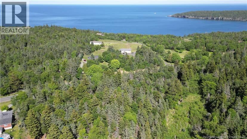 Whistle Road, Grand Manan, photo 4