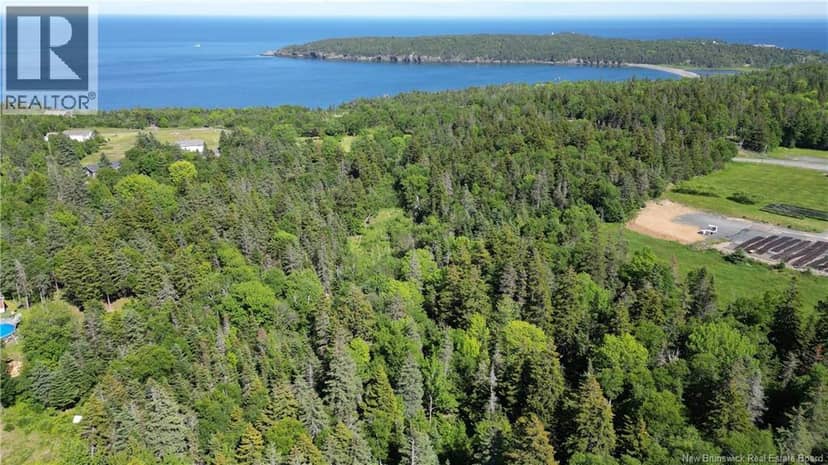Whistle Road, Grand Manan, photo 5