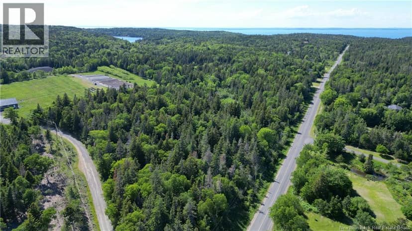 Whistle Road, Grand Manan, photo 6