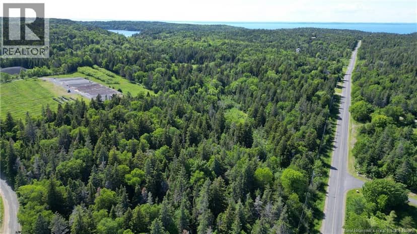 Whistle Road, Grand Manan, photo 7