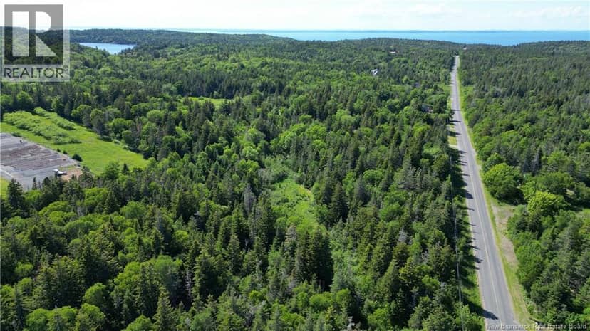 Whistle Road, Grand Manan, photo 8
