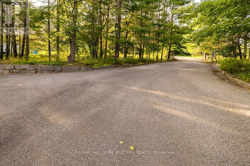 15 Oakridge Drive, North Kawartha, photo 4