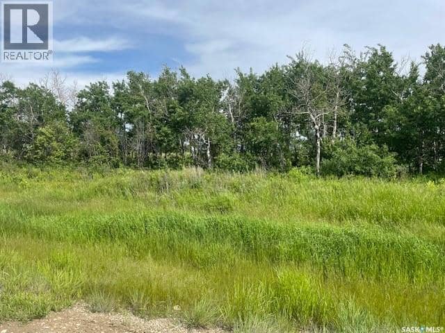 Lot 6 Viceroy ROAD, North Battleford Rm No. 437