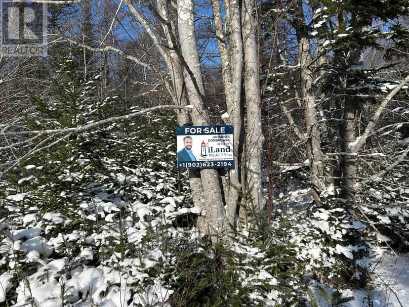 Lot 11 Lower River Road, Grantville — photo 11 of 23