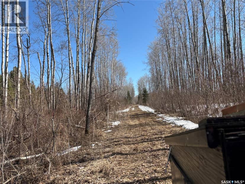 Delaronde Lake 30 Acres Forest — photo 15 of 17
