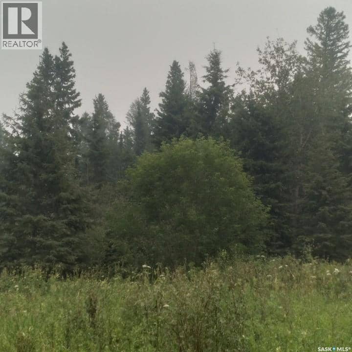 Delaronde Lake 30 Acres Forest — photo 17 of 17
