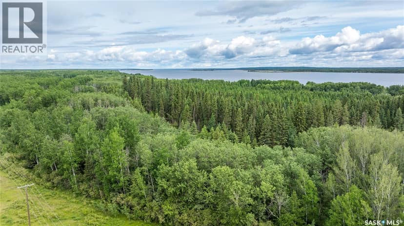 Delaronde Lake 30 Acres Forest, Delaronde Lake, photo 6