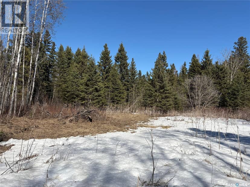 Delaronde Lake 30 Acres Forest — photo 11 of 17