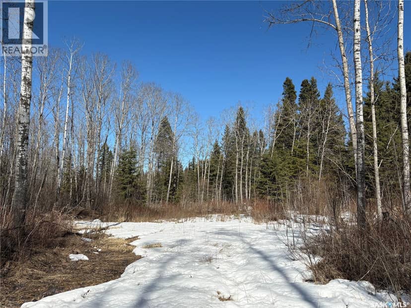 Delaronde Lake 30 Acres Forest — photo 13 of 17