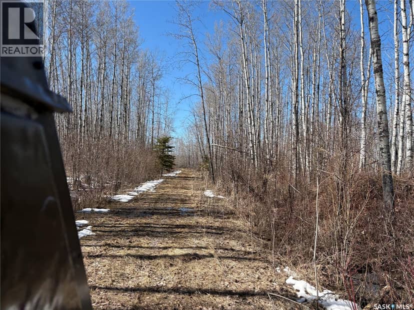 Delaronde Lake 30 Acres Forest — photo 14 of 17