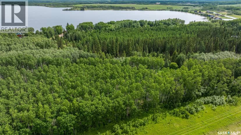 Delaronde Lake 30 Acres Forest — photo 9 of 17