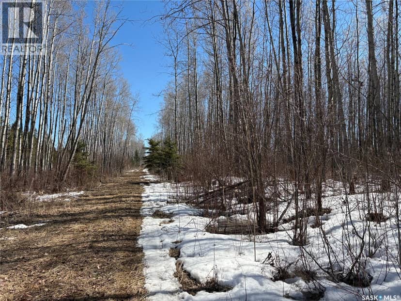 Delaronde Lake 30 Acres Forest — photo 16 of 17