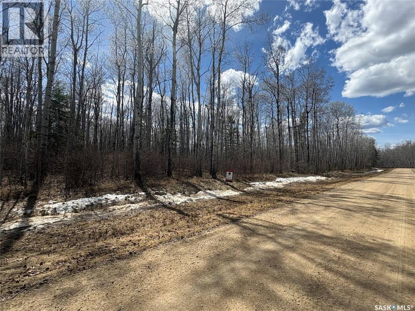 10 Acre Delaronde Lake Acreage — photo 18 of 18