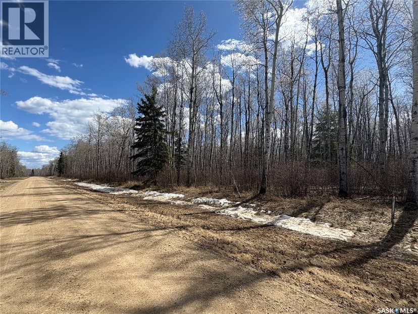 10 Acre Delaronde Lake Acreage — photo 10 of 18