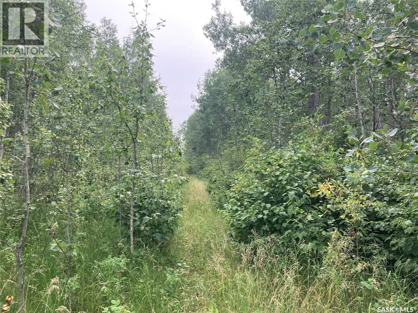 10 Acre Delaronde Lake Acreage — photo 16 of 18