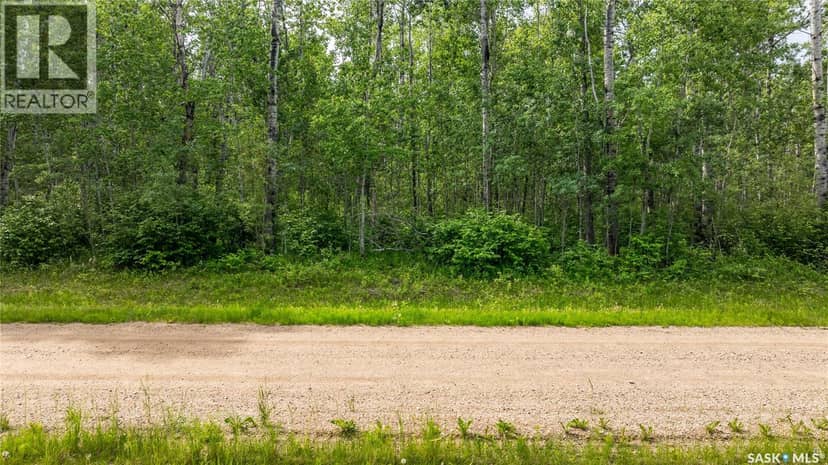 10 Acre Delaronde Lake Acreage — photo 9 of 18