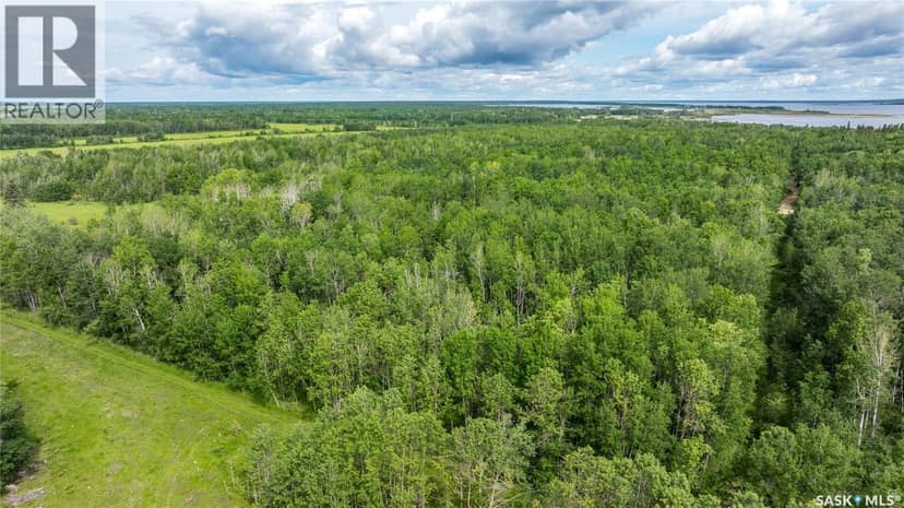 10 Acre Delaronde Lake Acreage, Delaronde Lake, photo 6