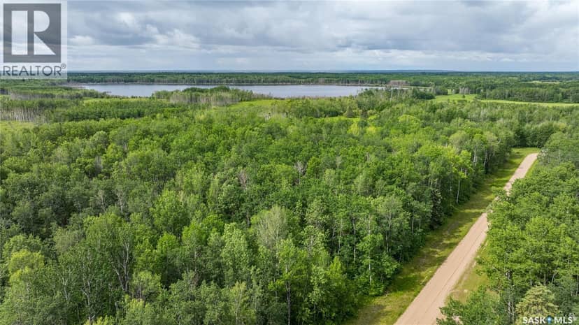 10 Acre Delaronde Lake Acreage, Delaronde Lake, photo 7