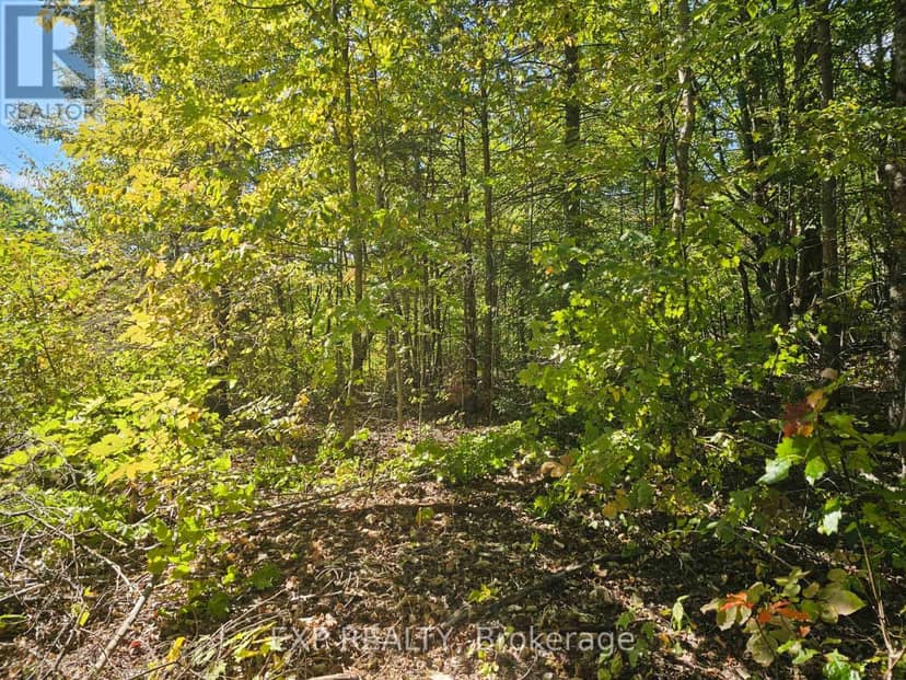 Part Lot 32 And 33 Part 2 Conc 1 Concession, Minden Hills