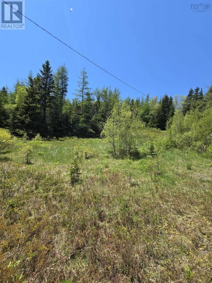 17987 316 Highway, Country Harbour, photo 4