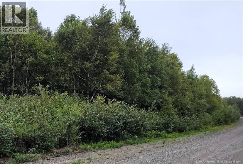 501 Fundy Drive, Wilsons Beach, photo 2