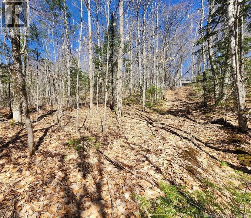 47950 Chemin Homestead Road — photo 11 of 16