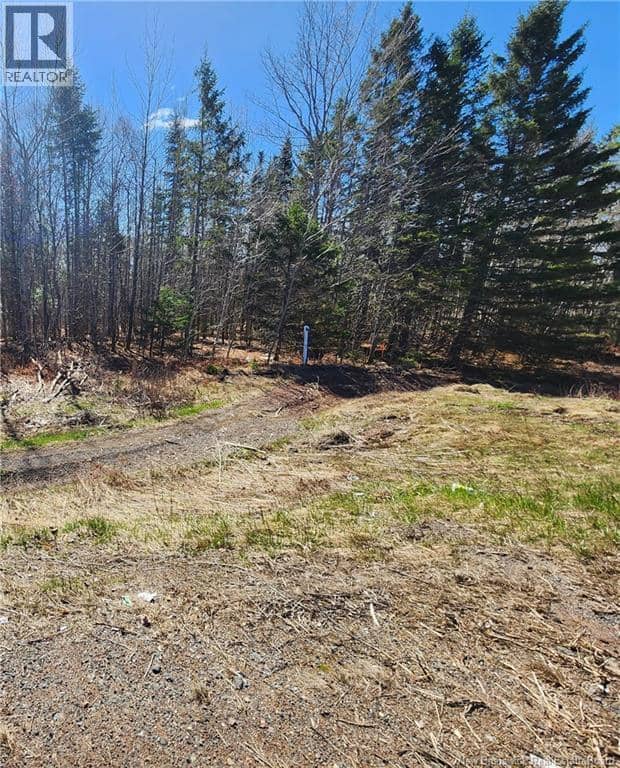 47950 Chemin Homestead Road — photo 12 of 16