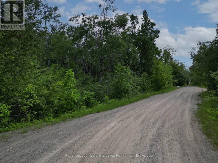 Lt 32 Rosco Lane, Kawartha Lakes, photo 5