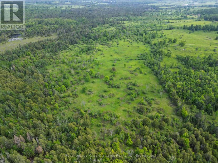 Lt 32 Rosco Lane, Kawartha Lakes, photo 8