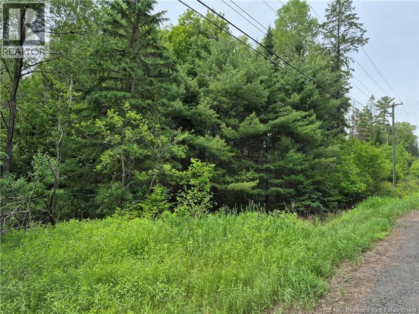 0 Rte 148 — photo 17 of 18