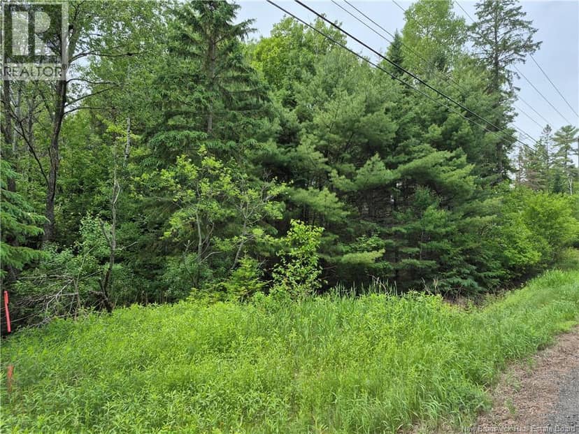 0 Rte 148 — photo 18 of 18