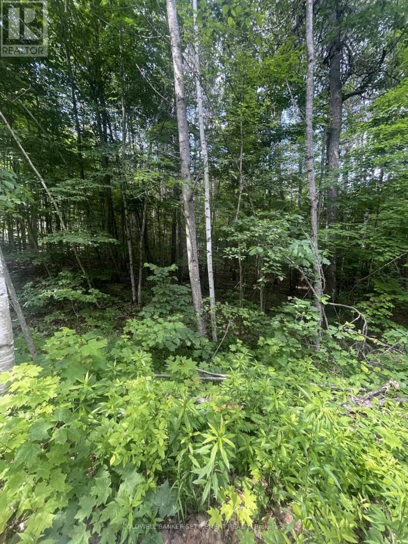 0 Pond Road — photo 1 of 6