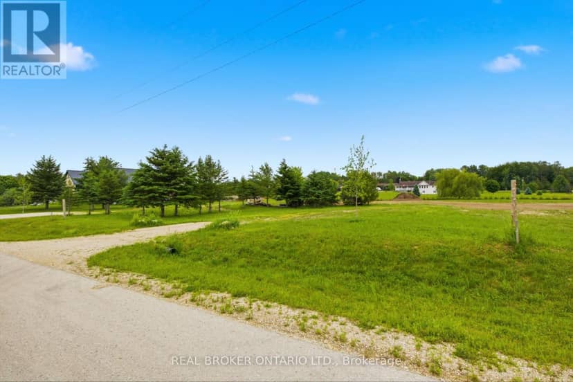 1022 Currie (Whole Lot) Street — photo 8 of 40