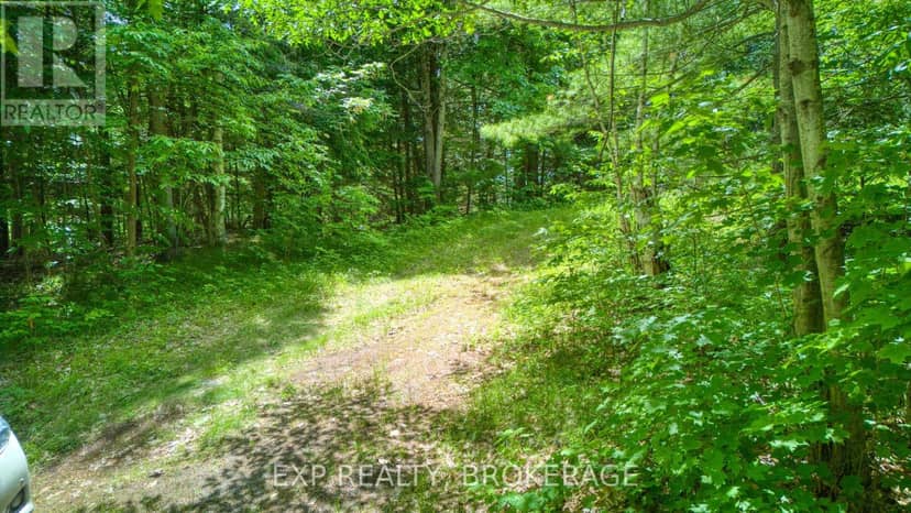 1142A Point Lane — photo 21 of 22