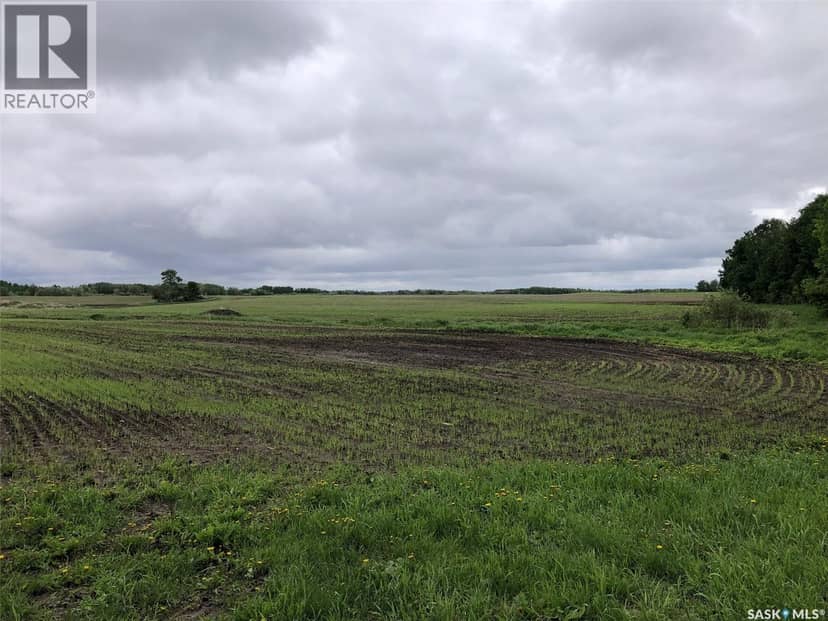 Neustaeter Farm — photo 18 of 40