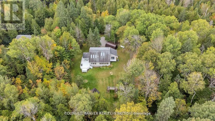 504 Birch Point Road, Kawartha Lakes, photo 2