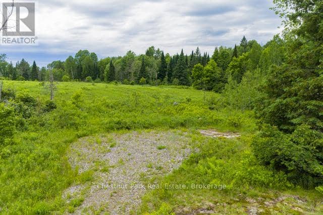 Lot 78 141 Highway — photo 12 of 21