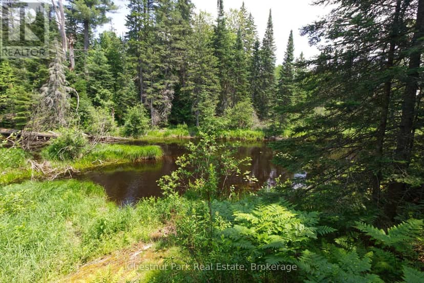 Lot 78 141 Highway — photo 7 of 21